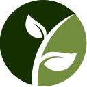 Lilac Pruning Service Pros