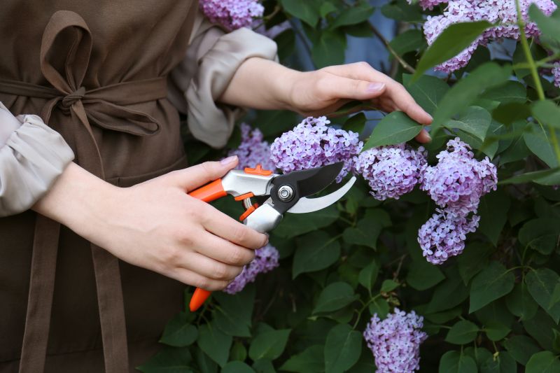 Pruning Tools