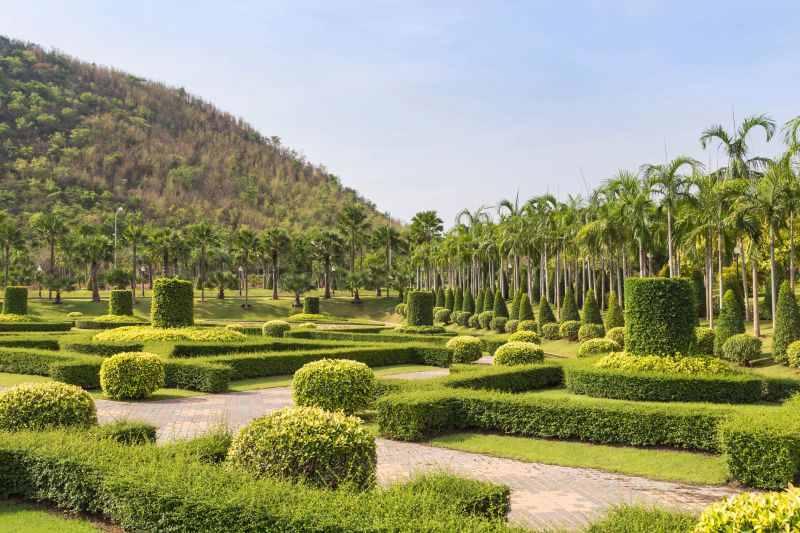 Trimmed Shrubs in Garden