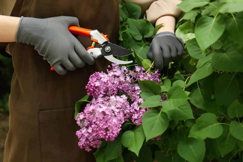Specialized Pruning Contractors